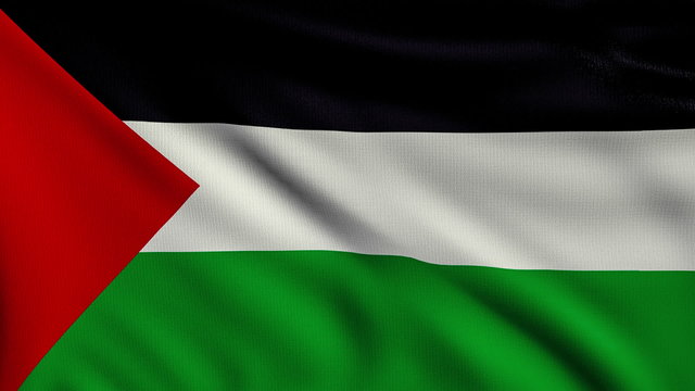 Flag of Palestine looping