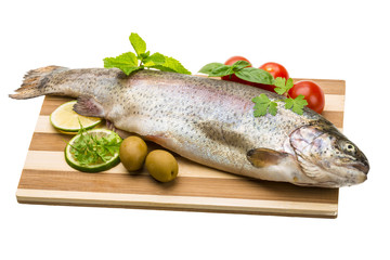 Fresh raw rainbow trout