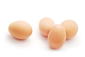 eggs