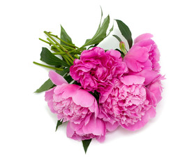 bunch of pink peonies isolated on white background