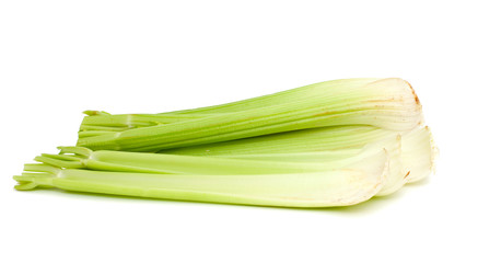 celery stems isolated on white