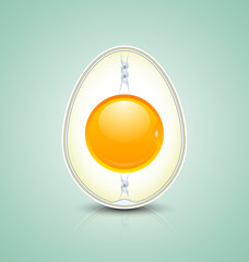 Egg cross section icon