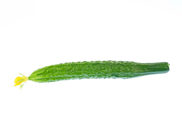 Cucumber on the white background
