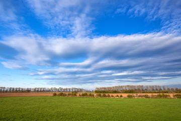 Fototapeta na wymiar cloudscape over spring meadow