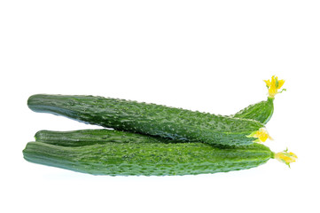 Cucumber on the white background