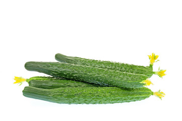 Cucumber on the white background