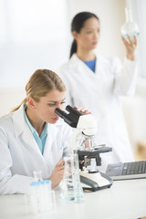 Female Scientists Working In Laboratory