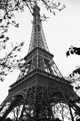 Eiffel TOwer