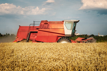 Obraz premium Combine harvesting wheat