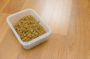 Fried Ricefish in plastic box on wooden floor
