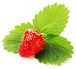 Strawberry with leaves