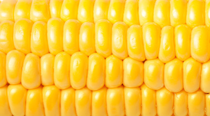 Ripe appetizing corn.