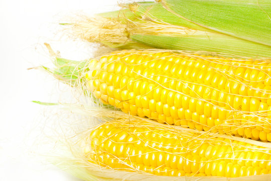 Ripe appetizing corn.