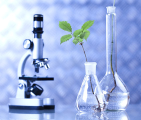 Laboratory glassware equipment, Experimental plant