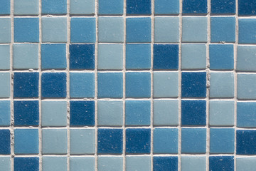 Piastrelline azzurre per rivestimento