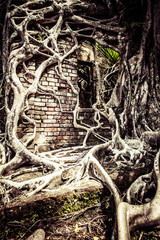 Ruin of abandoned building on Ross Island.Andaman Islands,India