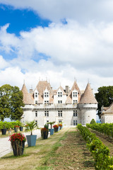 Fototapeta na wymiar Zamek Monbazillac z winnicy, Aquitaine, France