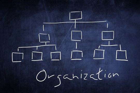 Concept Organization Flow Chart On Chalkboard