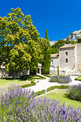 Naklejka premium garden in Les Baux de-Provence, Provence, France