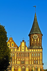 Koenigsberg Cathedral - Gothic 14th century. Kaliningrad, Russia