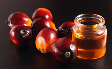 Oil palm fruits and oil bottle on a leaves background