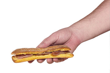 tuna sandwich in hand