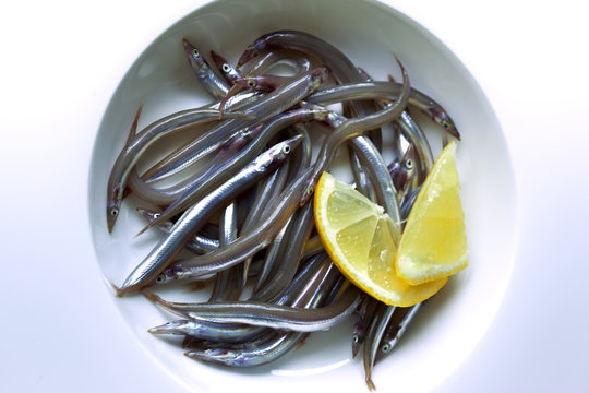 Lan&ccedil;on, poisson, friture, p&ecirc;che, anguille, frit, p&ecirc;che