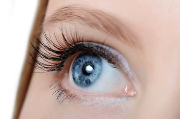 Female eye with long eyelashes close-up