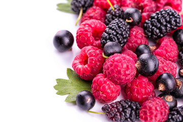 Fresh berries isolated