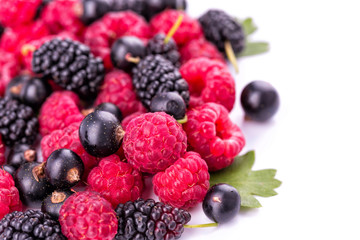 Fresh berries isolated