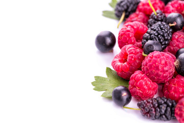 Fresh berries isolated