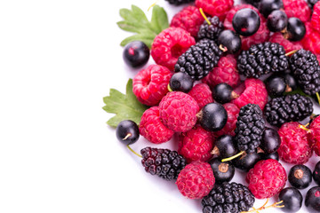 Fresh berries isolated