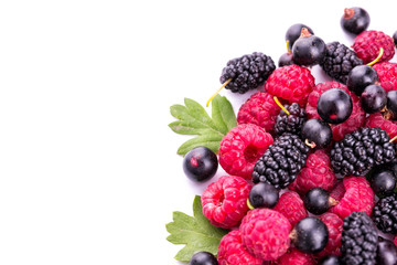 Fresh berries isolated