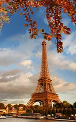 Fotobehang Eiffel Tower with autumn leaves in Paris, France © Tomas Marek