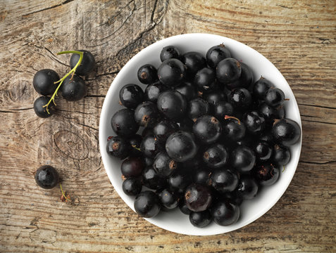 black currant in a white bowl