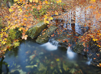 Autumn landscape with fallen leaves and river