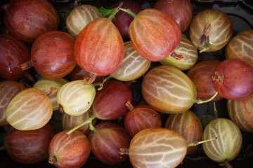 full frame of gooseberries