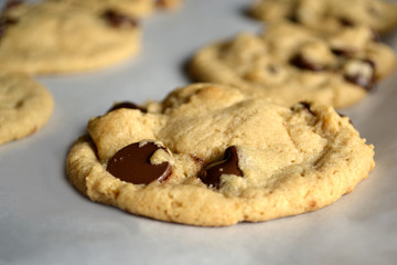 Chocolate Chip Cookies fresh from the oven