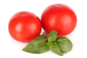 Tomato and basil isolated on white