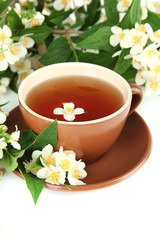 Obraz na płótnie Canvas Cup of tea with jasmine, isolated on white
