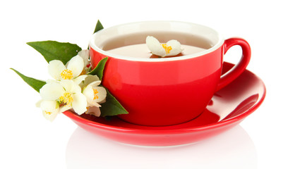 Fototapeta na wymiar Cup of tea with jasmine, isolated on white