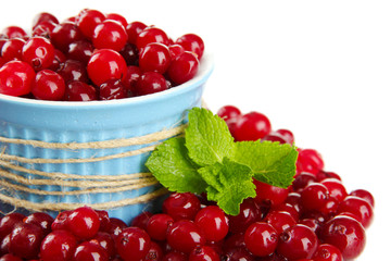 Ripe red cranberries in bowl, isolated on white.