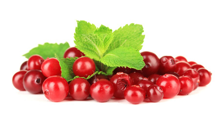 Ripe red cranberries, isolated on white.