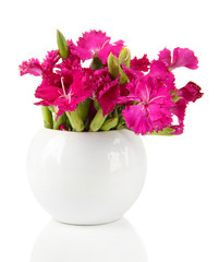 Bouquet of carnations in vase, isolated on white