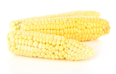 Fresh corn, isolated on white
