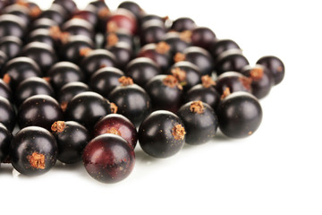 Fresh black currant isolated on white