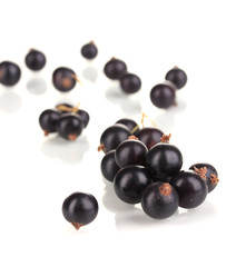 Fresh black currant isolated on white