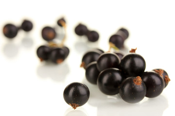 Fresh black currant isolated on white