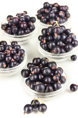 Fresh black currant isolated on white