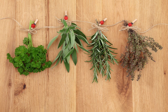 Herbs Drying